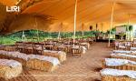 Large Holes Fabric Festival Wedding Event Stretch Tent For 300 Seater