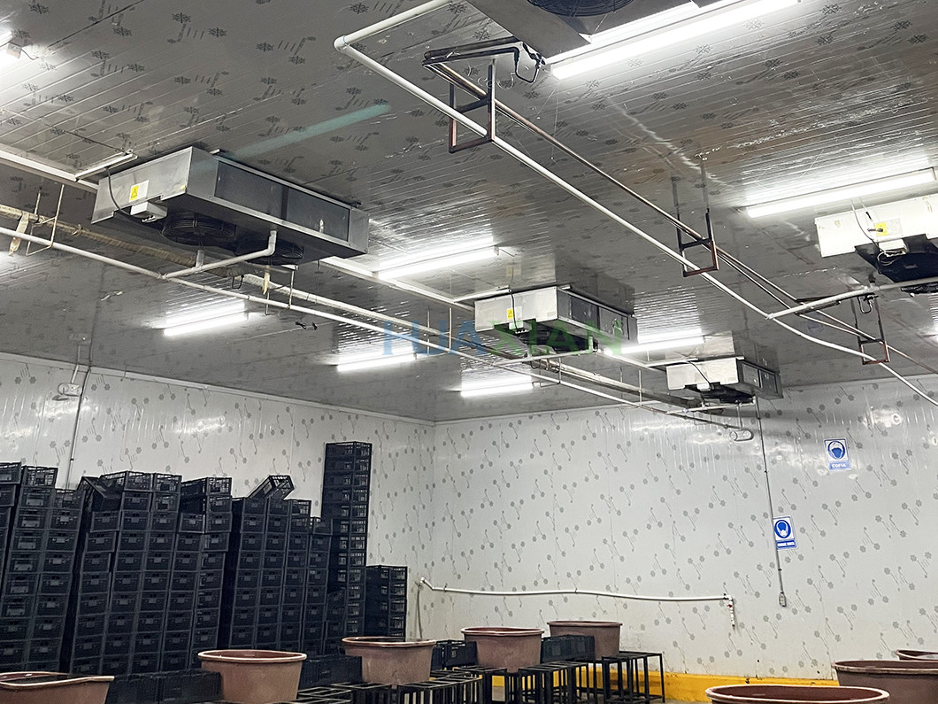 Sorting And Packing Room With Cooling System For Vegetable Warehouse