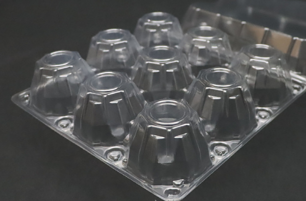 Transparent PVC 10 Holes Egg Packaging Tray Premium Eggs Durable Packaging Box