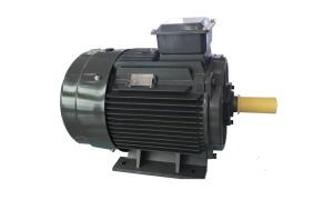 Wholesale Cast Iron Asynchronous Inverter Motors Three Phase Inverter Duty from china suppliers