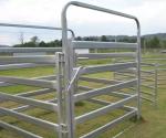 Welded Galvanized Pipe Fence Panels A53 Steel Pipe Fence Panels