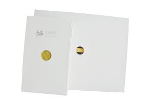 Wholesale White Anti-Static Rock Wool / Holllow MGO Cleanroom Panels For Chemical Industry from china suppliers