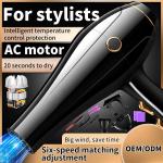 Fast Dry Ionic Hair Blow Dryer 2400W High Power Salon Professional Hair Dryer
