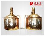 3 Bbl Brewpub Commercial Beer Brewing Equipment Convenient Operation
