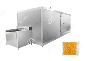 Wholesale Factory Price Frozen Mango Production Line Fruit And Vegetable Processing Industry from china suppliers