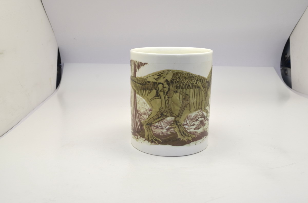 Promotional Gift Eco Friendly Mugs Dinosaur Heat Sensitive Color Changing Mug