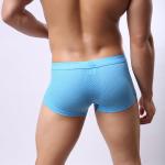 Breathable Mesh Seamless Boxer Briefs Sexy Customized Men'S Boxers Underwear