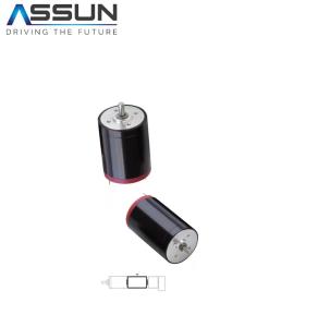 Wholesale 22mm Diameter Coreless Brushed Dc Motor , 6 Volt Dc Motor Low Rpm 7500mA from china suppliers