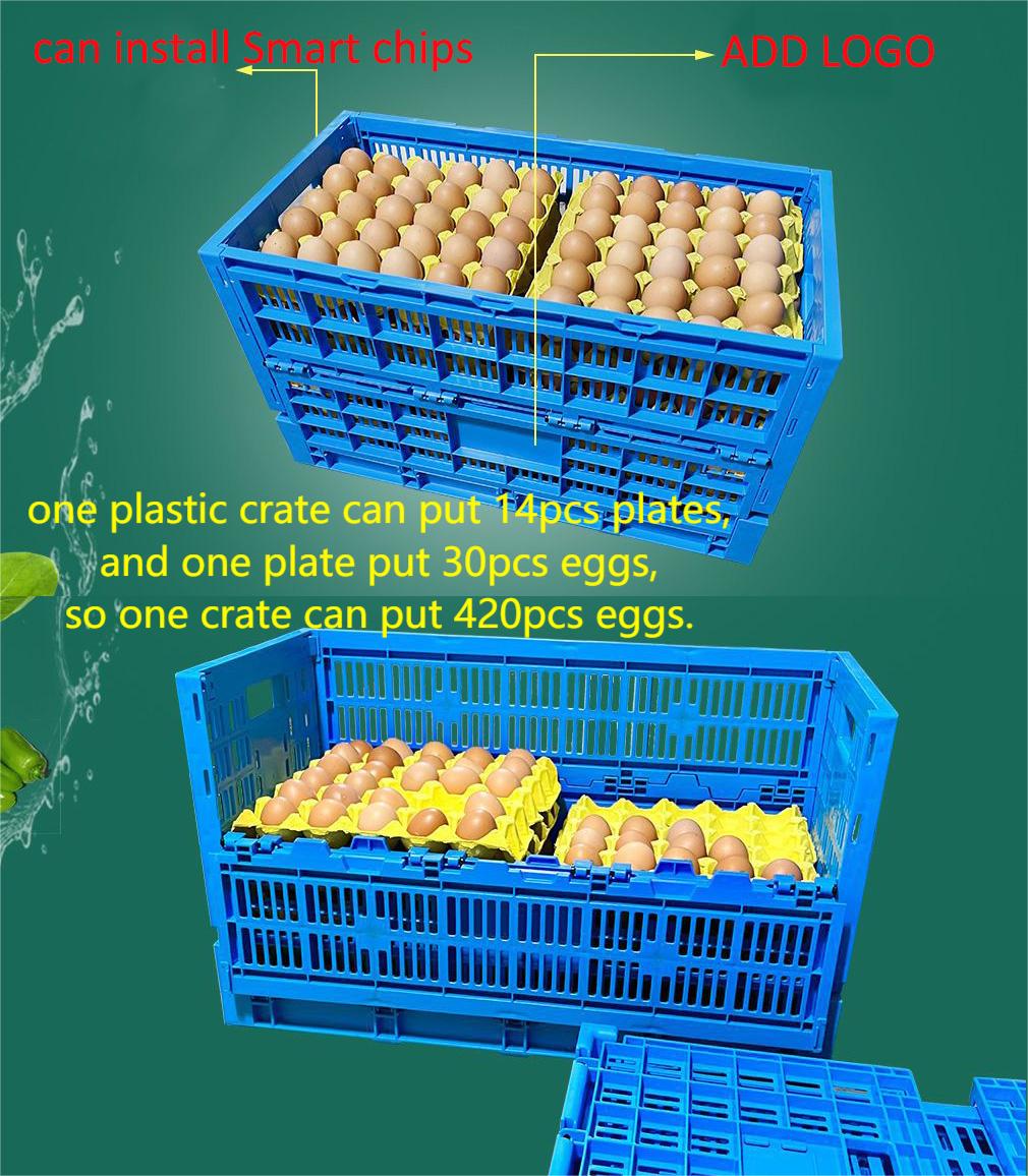 PE/PP Material Mesh Style Collapsible EGG Container Perfect for Storage and Shipping