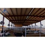 Customized Color Steel Structure Large Span Light Steel Frame for Fabricated