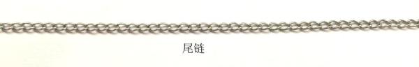 Tagor Jewelry Wholesale Stainless Steel Hot Pendant Necklace Chain TGGC60,M.O.Q