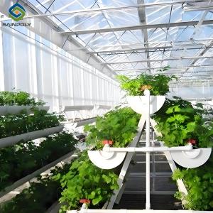 Wholesale Large Size Hydroponic Farming Greenhouse For Vegetable Fruits Growth from china suppliers