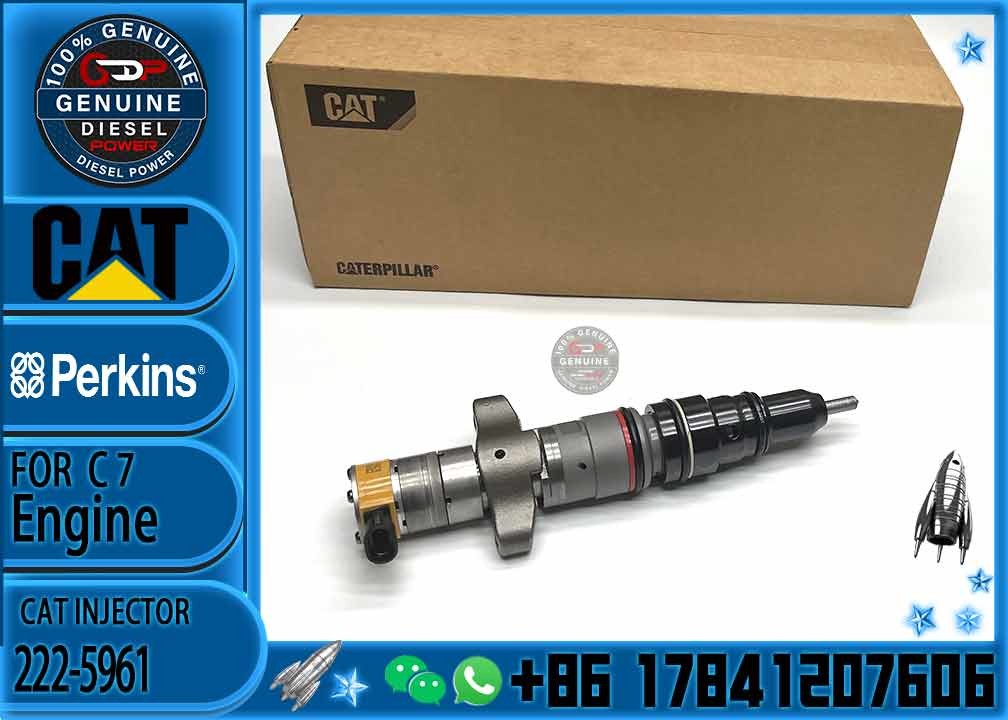 Diesel Engine Common Rail Fuel Injector 222-5961 235-5261 238-8901 241-3228 241-3238 241-3400 243-4502 268-1840