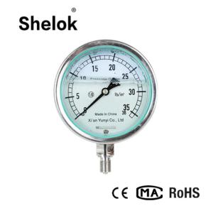 Wholesale High Precision Stainless Steel Digital Liquid Pressure Gauge from china suppliers
