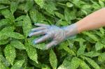 Hygienic Anti Allergic Disposable TPE Gloves For Household Cleaning