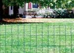 5fts 16 Gauge Welded Wire Mesh