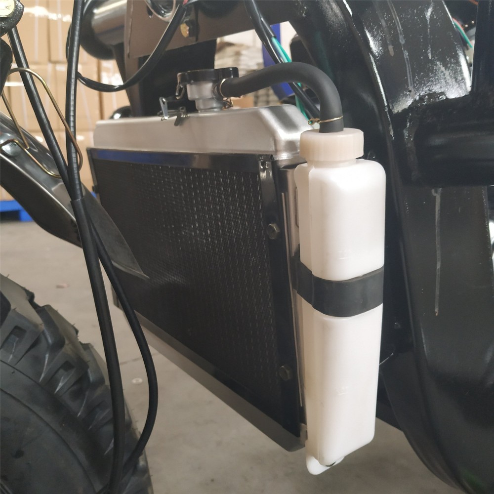 2t Loading 80km/H 250CC Electric Delivery Trike