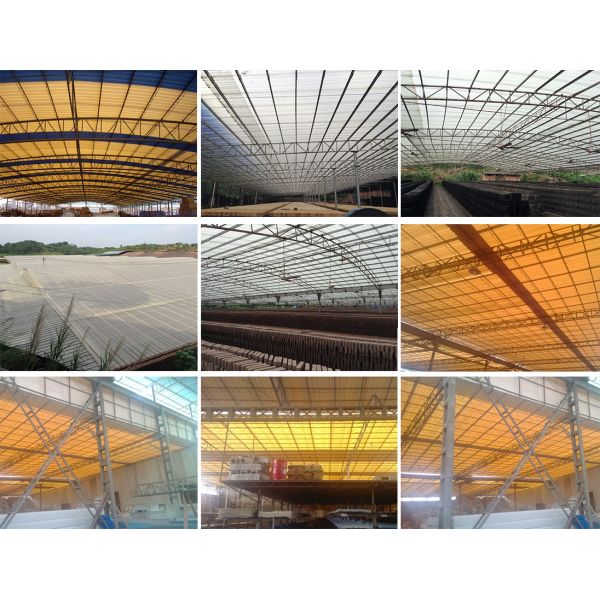 Customized PVC Transparent Roofing Sheet UV Protection Clear Plastic Roof Sheet