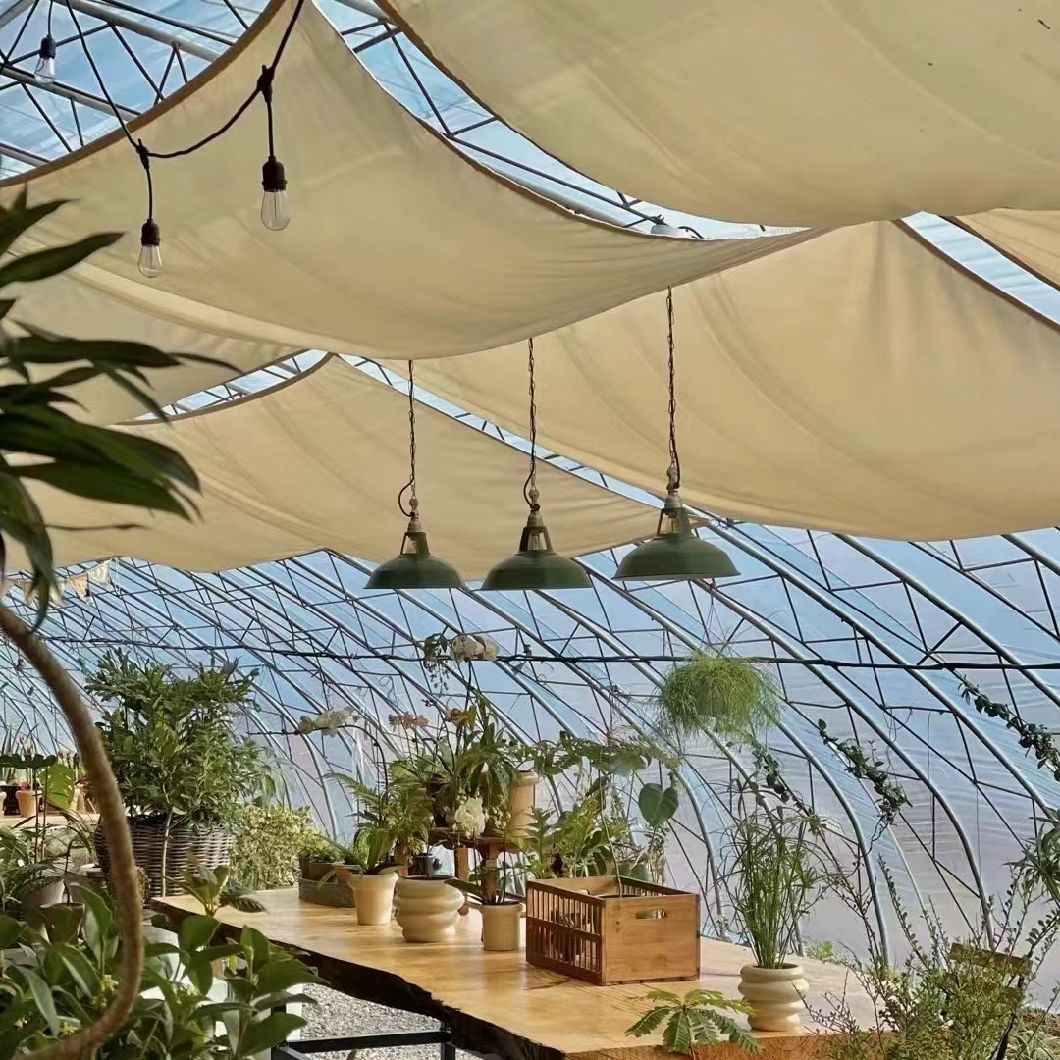 Chinese Origin Single-Span Arches Greenhouse