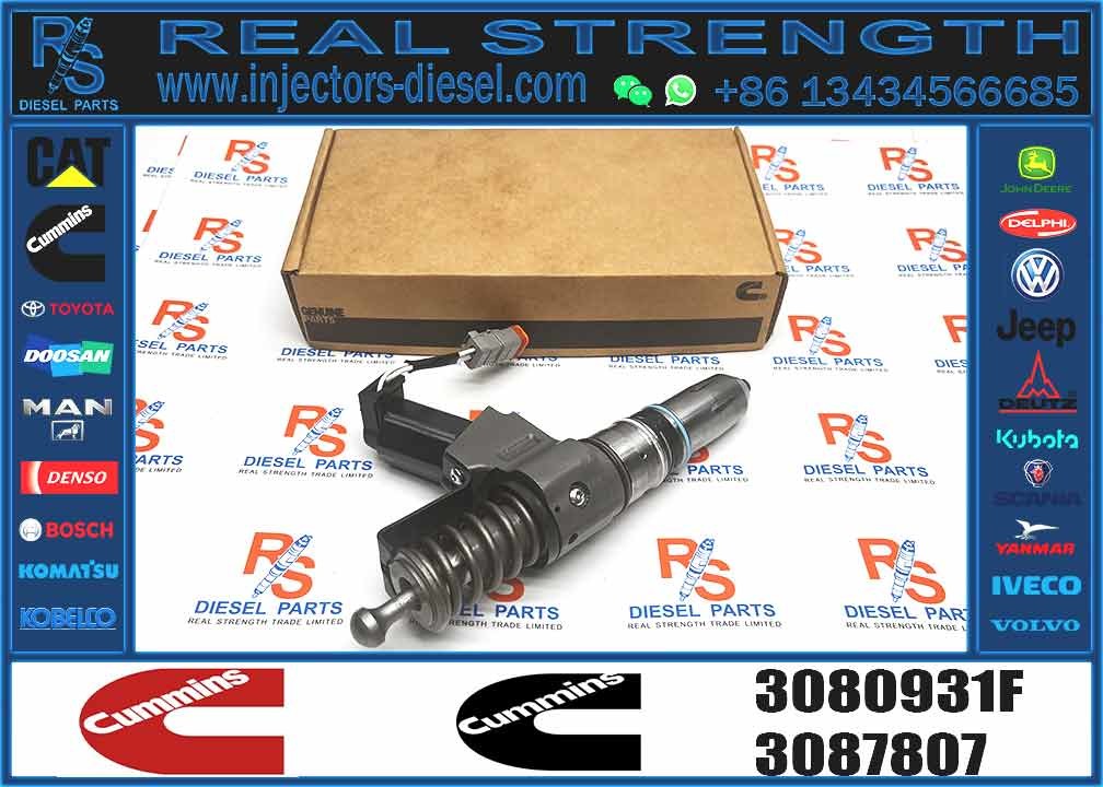 Diesel N14 Common Rail Fuel Injector 3080931F 3087558F 4307795 6087807