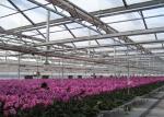 Customized Size Clear Polycarbonate Greenhouse Durable Good Wind Resistance