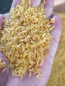 Wholesale 201 304 SS Artificial Rice Making Fortified Rice Machinery Plant 150kg/H from china suppliers
