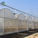10m × 12m Heavy Duty Single Tunnel Greenhouse Plastic Tomato Greenhouse