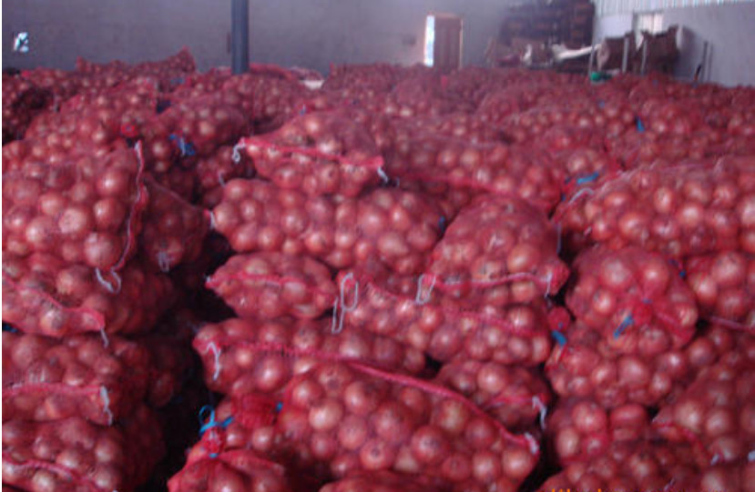 5cm Blood Pressure Reducing Natural Fresh Onion
