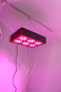 Wholesale Special design Apollo 6 led grow light with CE&amp;RoHS Approved from china suppliers