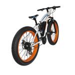 Fat Tire Snow 2 Wheel Electric Bike 500w Foldable 4-6h Charging Time With CE