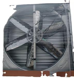 Wholesale Poultry House Exhaust Fan Pig Farm Industrial Durable Ventilation Fan Chicken House Exhaust Fan Cooling System from china suppliers