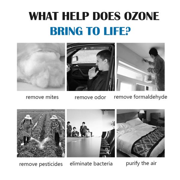 Mobile Ozonizer Machine Vehicle Ozone Generator Continuous Flow