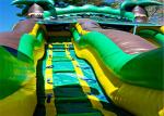 Tropical Commercial Water Slide , Giant Blow Up Water Slide High Security Huge