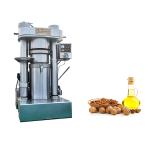 Walnut Oil Making 65kg/h Hydraulic Deep Drawing Press Machine For Small Oil