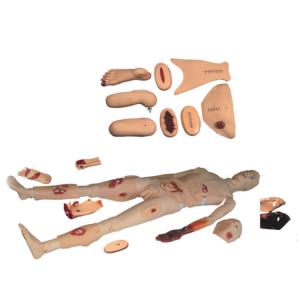 Wholesale Pvc Simulation Cpr Training Manikins For Nurse Study from china suppliers