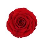 Home Decor Preserved Rose Heads Creative Household Decorative Furnishings