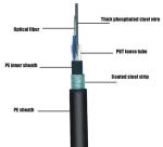 1550nm Outdoor Armored Fiber Optic Cable 24 Strand GYTY53