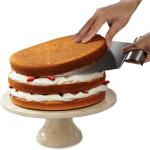 Stainless Steel Baking Tools Transfer Cake Tray Silver Color