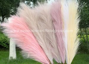 Wholesale 60cm Preserved Fresh Flowers Home Decor Natural Dried Pampas from china suppliers