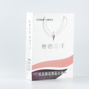 Wholesale FSC CMYK Shopping Paper Carrier Bags With Handles ODM Logo Print from china suppliers