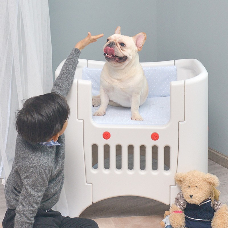 plastic pet bed
