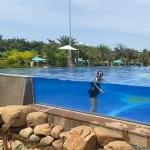 Customized Size Acrylic Window Installation Training for Residential Underwater