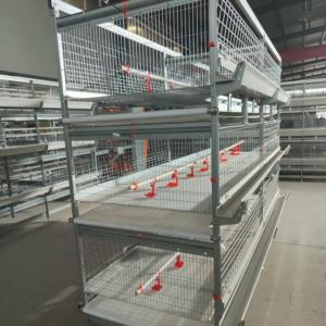 Wholesale 2150x2300x1600mm 3tire Chicken Farming Cage Wire Material Q235 Bridge Steel from china suppliers