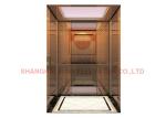Panoramic Home Villa Elevator Lift Center Opening Door Modern Home Furnishing