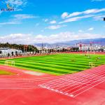 Full Pour Speed Running Track For Sports Ground Stadium Jogging Park Within Full
