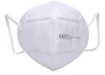 Anti PM2.5 Disposable Nose Mask