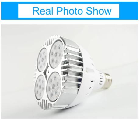 35W LED Spotlight RGB led par Lampara for Home Lighting SMD 2835 Super Bright