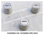 Stainless Steel Sounding Pipe Head Measuring Pipe Head Sounding Injection Head
