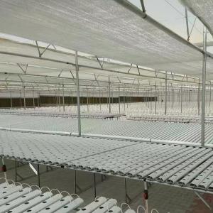 Wholesale Water Pipe Agricultural Greenhouse Solution with Film Cover and US 20/Square Meter from china suppliers