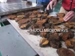 Industrial Microwave Dryer Conveyor Type Food Sterilizing Equipment